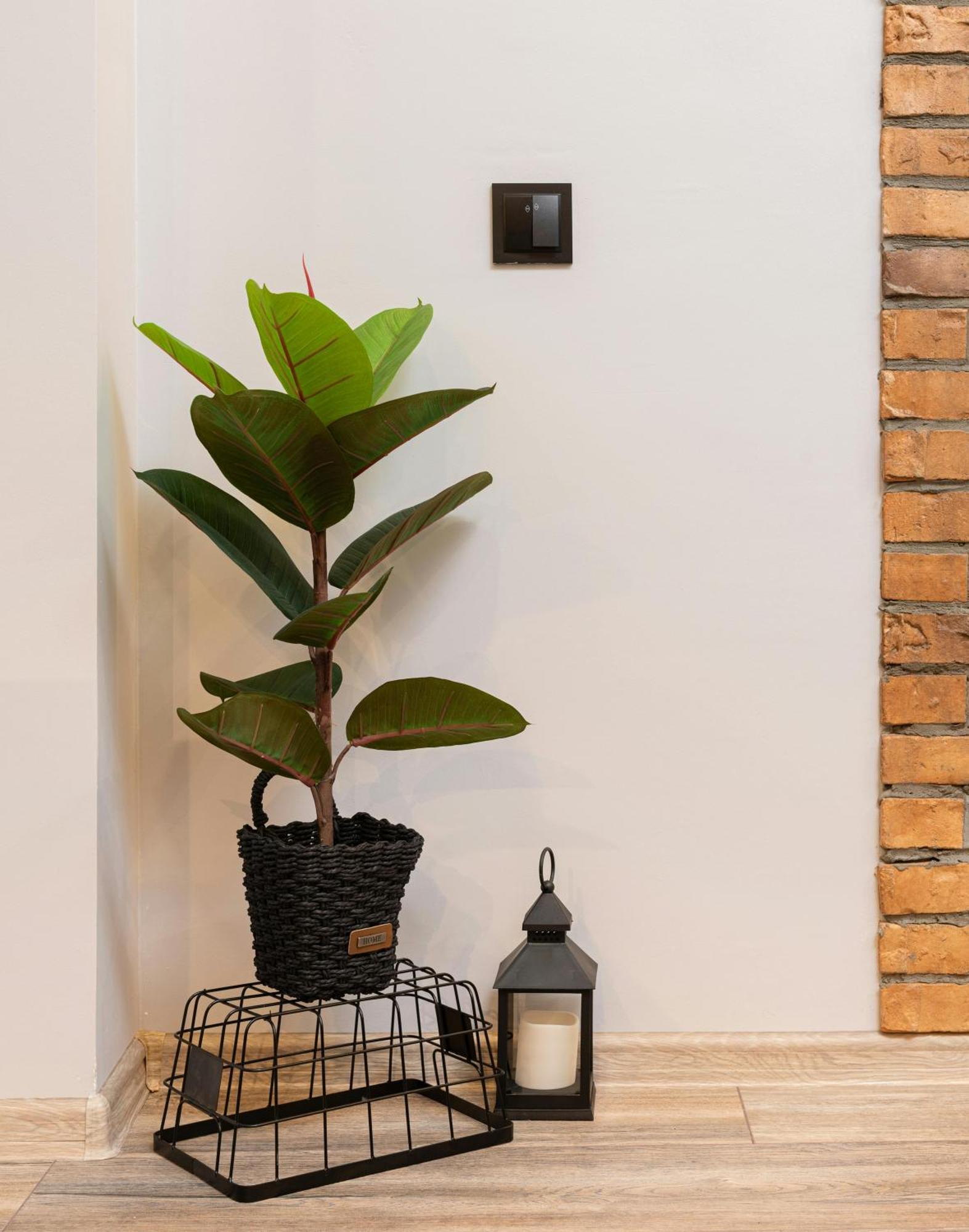 Skylight Room! Lucan Luaran gambar